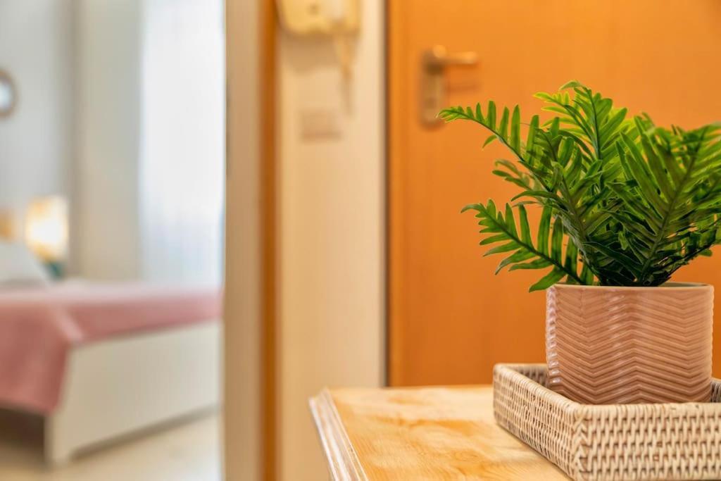 Antine 54 - Magnolia Holidays Alguer Exterior foto
